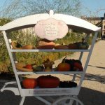 inauguration_ehv_2018._sr_16_