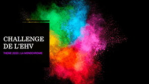 Lire la suite à propos de l’article CHALLENGE DE L’EHV THEME 2020 : LA MONOCHROMIE