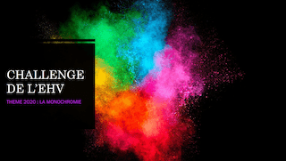 You are currently viewing CHALLENGE DE L’EHV THEME 2020 : LA MONOCHROMIE
